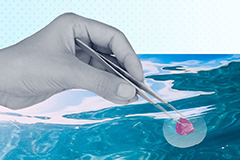 Illustration of hand putting iron in the ocean